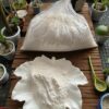 Marmolina por kilo
