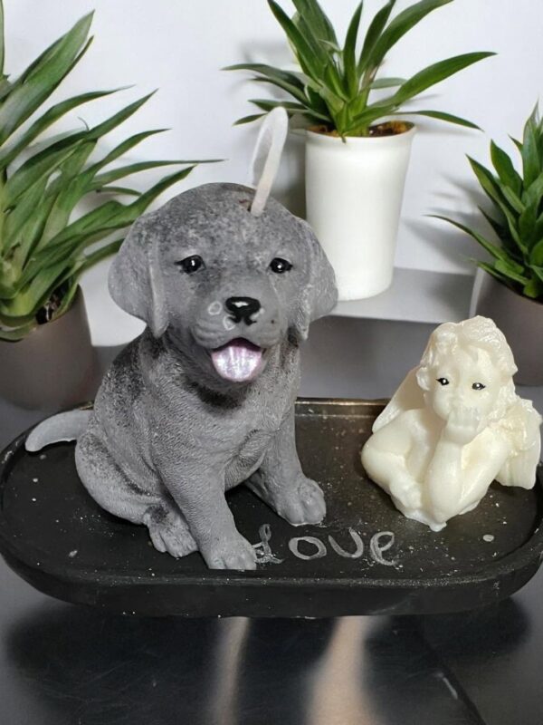Molde de perrito